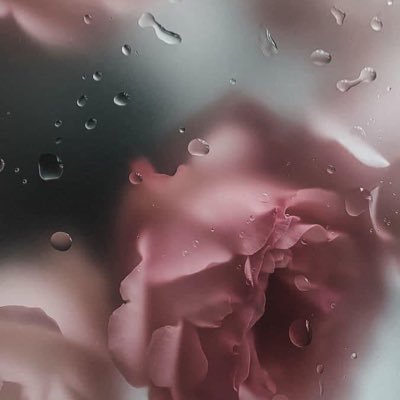 JuicyFruit's profile picture