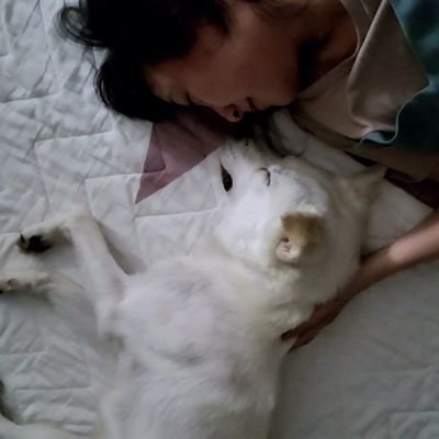 겨울토끼곰's profile picture