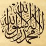مصطفى آرسلان اوغلي's profile picture
