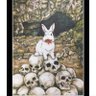 Фото профиля SJWeb