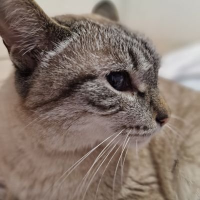 súper feliz's profile picture