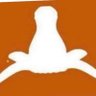 Longhorns Blow's profile picture