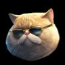 Фото профиля Fat Cat Coin