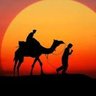 ابن الصحراء's profile picture