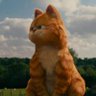 流浪的猫 的头像