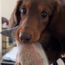 ☺️春風致福😊 的头像