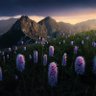 Astral Recall Podcast profil fotoğrafı