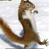 Corn Pop's profile picture