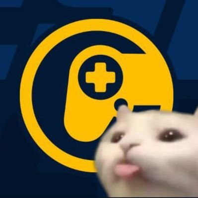 ESPORTMANÍACOS's profile picture