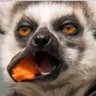 I have a ask profil fotoğrafı