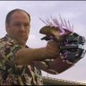 Hans zolo's profile picture