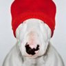 Фото профиля CoffeeWineMusicDance