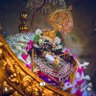 Indian Intellect ( Modi ka Pariwar )'s profile picture