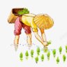 工科生 profil fotoğrafı
