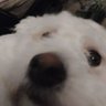Kaatje's profile picture