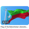 Ibrahim Baloch's profile picture
