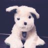 せと profil fotoğrafı