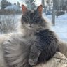 Polish Princess profil fotoğrafı