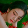 Jisoo’s ⪩ ⪨'s profile picture