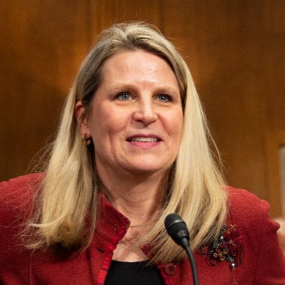 LizShuler's profile picture