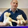Sean Dilley NEWS's profile picture