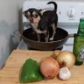 kmht's profile picture