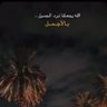 Profilbild von نـاصصر