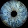 oeilbleu 💎 profil fotoğrafı