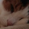 FardocheLaroche profil fotoğrafı