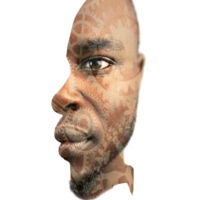 timdinkat's profile picture