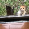Фото профиля 猫丸
