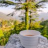 Фото профиля Chai_LoverTweets