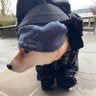 DogeMp4 的头像