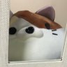 ＨＡＹＡＴＡ 的头像