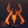 Profilbild von DeeTheDeer