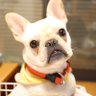 Noriko profil fotoğrafı