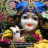 Profilbild von Krishna Das