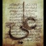 Profilbild von ام ابيها فاطمة