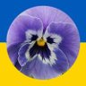 viola ❦'s profile picture
