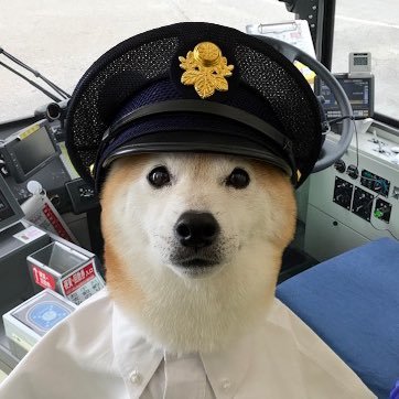 @パワハラ被害者は2度泣かされる's profile picture