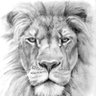 Ruqia AR profil fotoğrafı