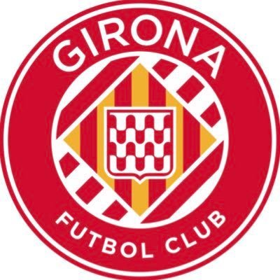 GFCAcademia's profile picture