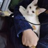热烤奶's profile picture