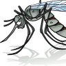 Malemosquito🇨🇳's profile picture