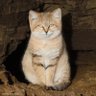 Фото профиля minafarahmand