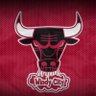 Profilbild von Die-Hard Chicago Bulls Fans