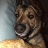 Daisy's profile picture