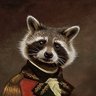 SnobRaccoon profil fotoğrafı