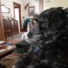 Brenda Slama profil fotoğrafı