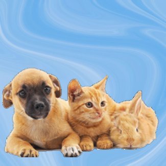 dogcatbunny01's profile picture
